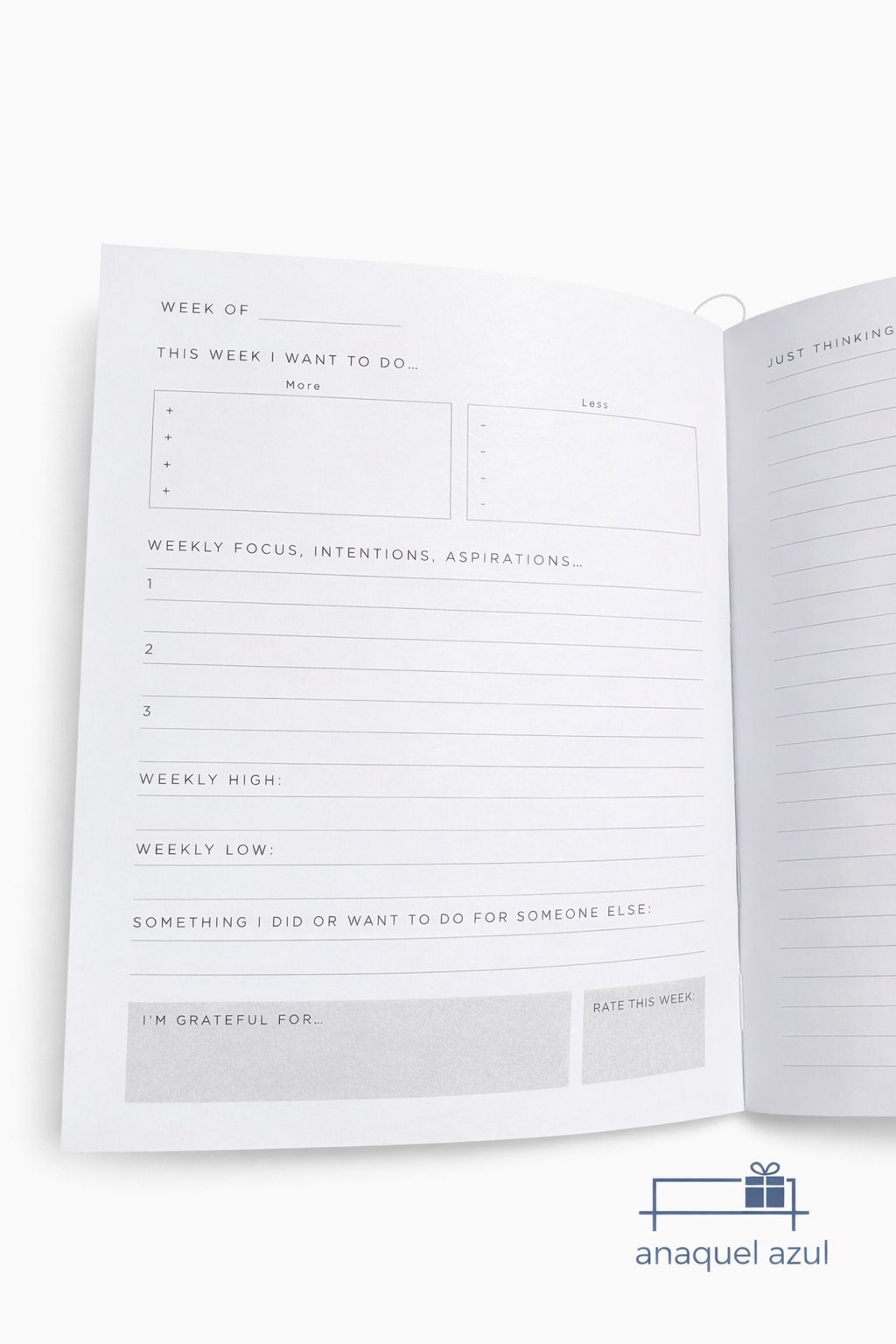 The thoughtful journal