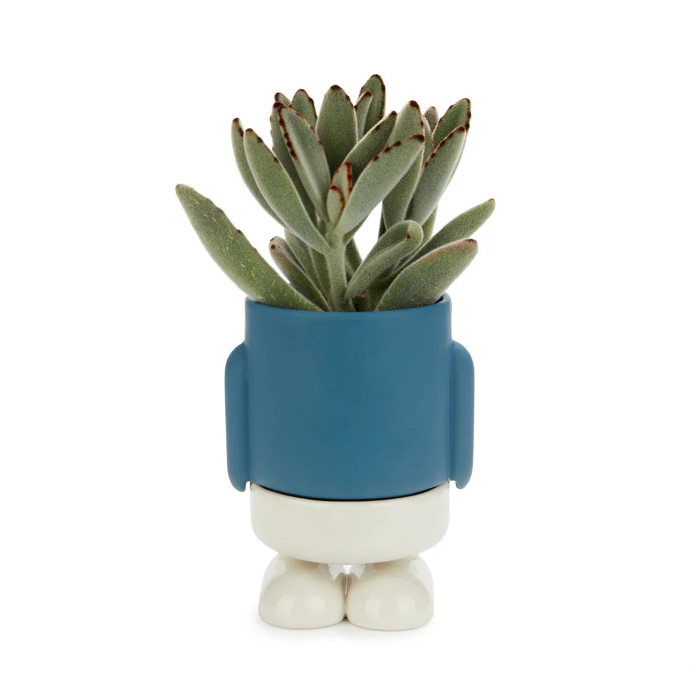Maceta Mini Mr. Standy Azul